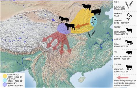 Origin of Sino-Tibetan language family revealed by new research