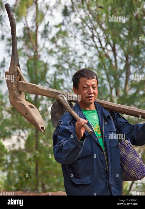 A farmer carries his heavy wood plough to his farm in the fertile ...