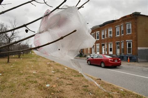 Maryland's ban on single-use plastic bags is working.