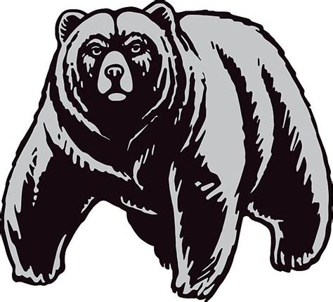 Kodiak Bear Illustrations, Royalty-Free Vector Graphics & Clip Art - iStock