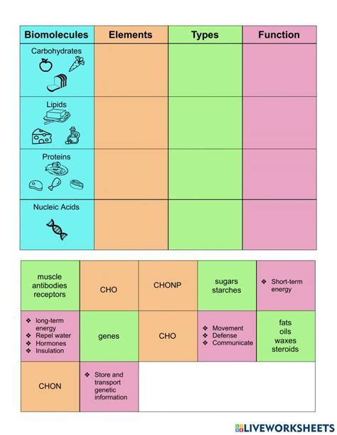 Biomolecules Chart online exercise for | Live Worksheets - Worksheets Library