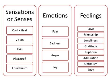 Sensations (or Senses), Emotions and Feelings – Manu Herrán