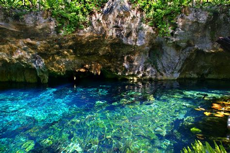 Gran Cenote in Tulum - Swim in One of Mexico’s Beautiful Blue Cenotes - Go Guides