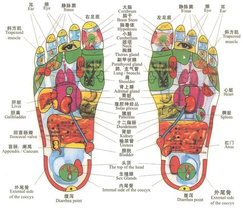 Feet First Reflexology - History