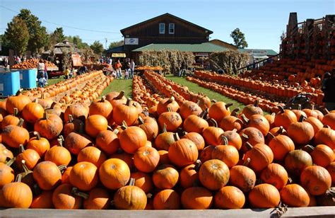 Great Pumpkin Farm Fall Festival | New York by Rail