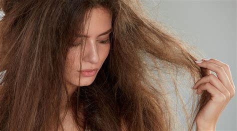 damaged hair | Healthy Foods Mag