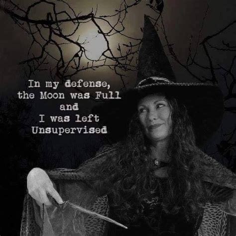 Funny Witch | Witch quotes, Witch, Witchy