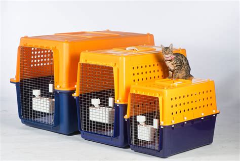 Jetpets Airline Approved Pet Travel Crates - Jetpets AU