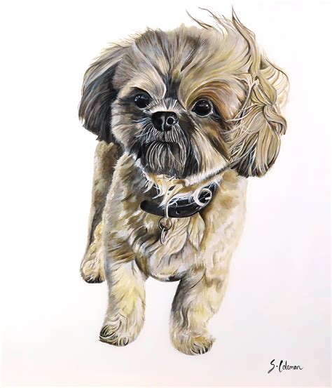 Eddie the Dog – Samantha Jayne Art