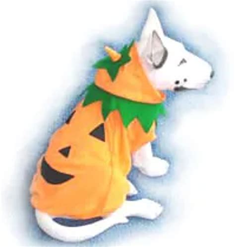 Pumpkin Dog Halloween Costume | Rockstar Puppy Boutique