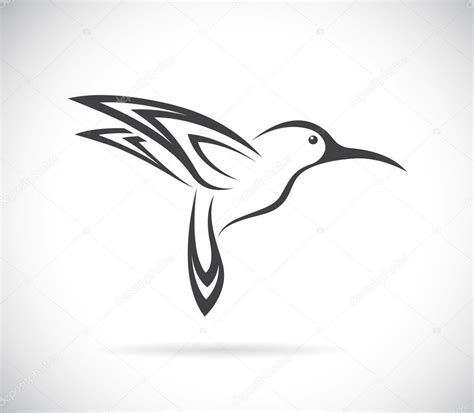 Vector image of an hummingbird design Stock Vector by ©yod67 50580345