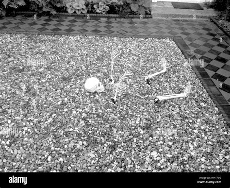Buried human skeleton Black and White Stock Photos & Images - Alamy