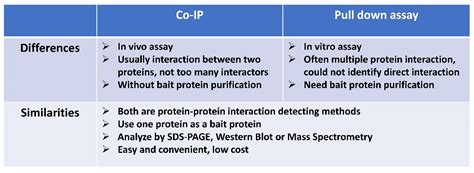 Pull Down Assay Technical - Profacgen