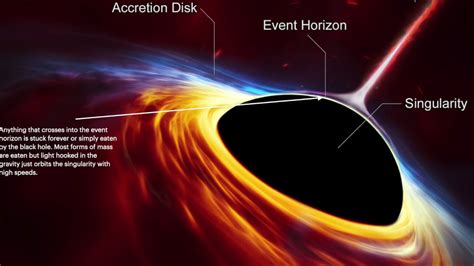 Black Hole Singularity Theory