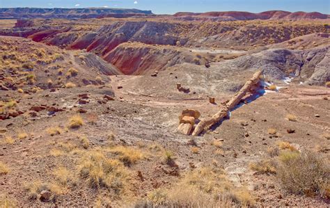 6 Best Petrified Forest National Park Hikes – Bearfoot Theory