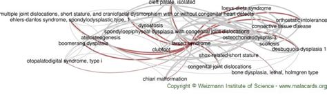 Larsen Syndrome disease: Malacards - Research Articles, Drugs, Genes, Clinical Trials