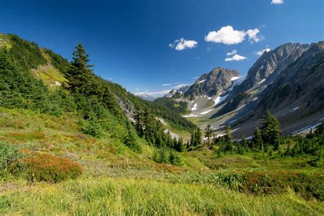 13 North Cascades National Park Trails That Will Make You Surrender To ...