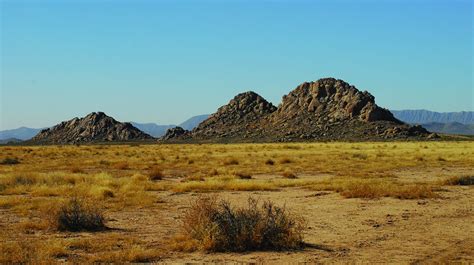 Mexican Ranchers Buck Tradition to Save Grasslands and Wildlife | Living Bird | All About Birds