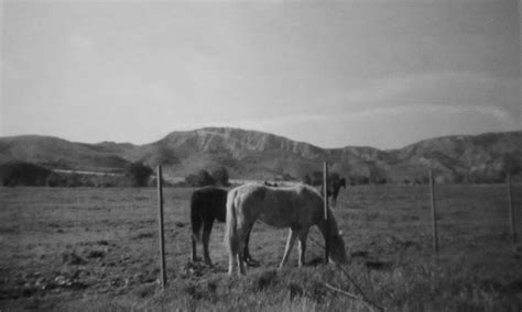 The Museum of the San Fernando Valley: SYLMAR IN THE MID 1940s