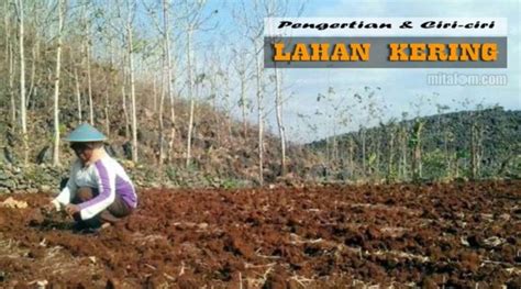 Pengertian Lahan Pertanian – Meteor