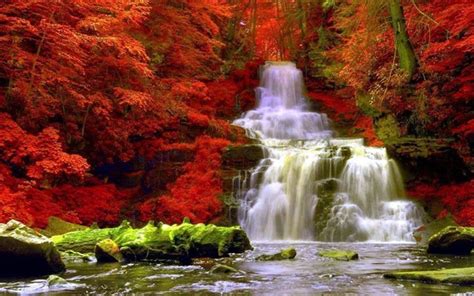 AUTUMN WATERFALL | Autumn waterfalls, Waterfall wallpaper, Forest waterfall