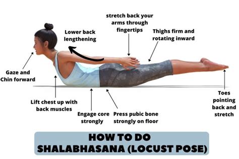 Shalabhasana (Locust Pose): Meaning, Steps, Benefits, & Precautions - Fitsri