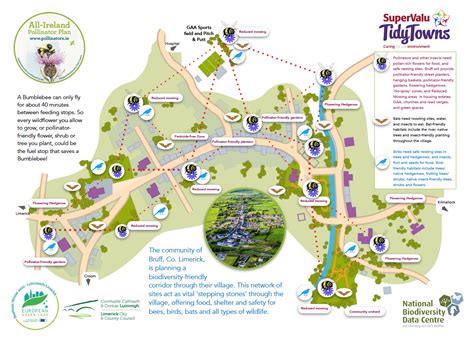 Creating ecological corridors in Bruff » All-Ireland Pollinator Plan