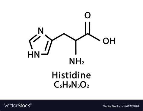 Histidine molecular structure skeletal Royalty Free Vector