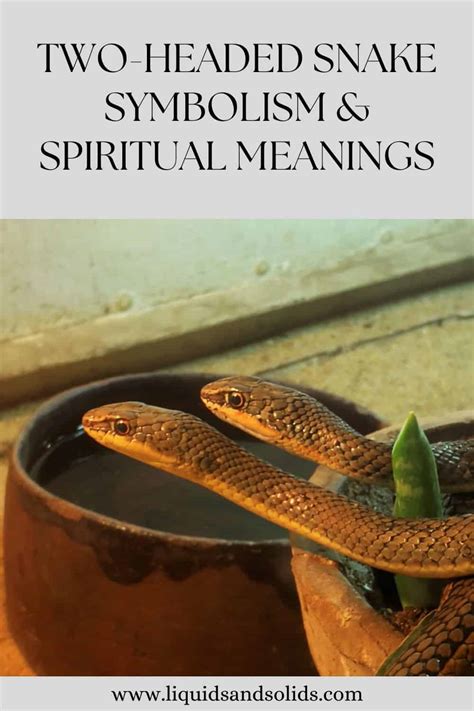 Two-Headed Snake Symbolism & Spiritual Meanings