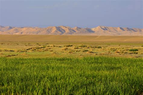 A Step into Mongolia and Back in Time - Equitours - Horseback Vacations Worldwide