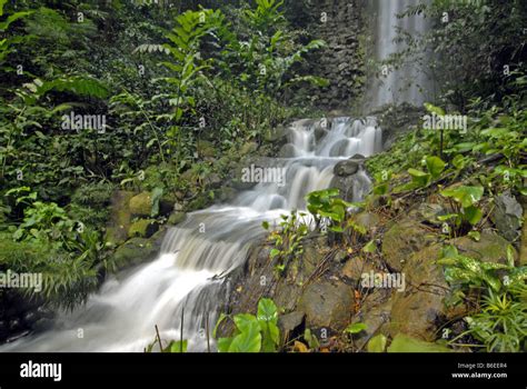 A WATERFALL IN JURONG BIRD PARK, SINGAPORE Stock Photo - Alamy