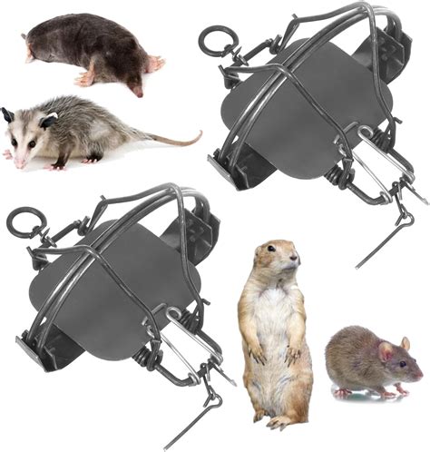 Pack of 2 Classic Rat Traps Mole Trap Rodent Cage Possum Trap Gophers ...