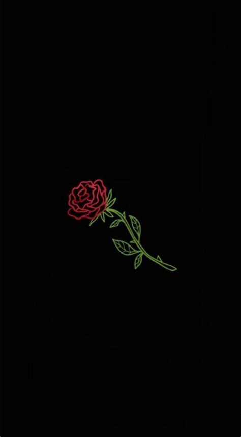 Black Rose Aesthetic Wallpapers on WallpaperDog