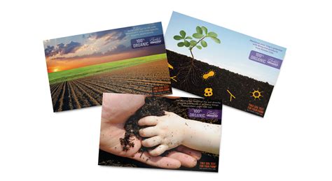 Purple Cow Organics Marketing & Advertising by Pop-Dot • Marketing Agency in Madison, WI