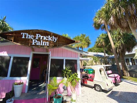 Eat Here - The BEST Cedar Key Restaurants to Satisfy Your Appetite ...