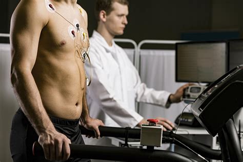 Stress Echocardiogram – Australian Cardiovascular Specialists