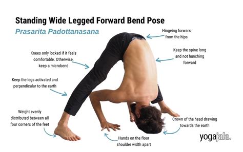 Intermediate Yoga Poses