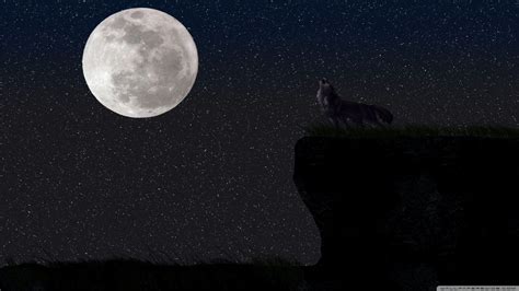 Wolf Moon Wallpapers - Top Free Wolf Moon Backgrounds - WallpaperAccess