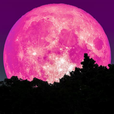 When Will The Pink Moon Appear 2024 - Gertie Korney