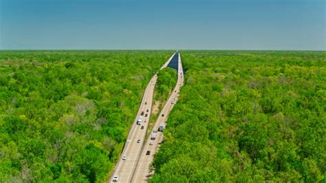 110+ Atchafalaya National Wildlife Refuge Photos Stock Photos, Pictures ...