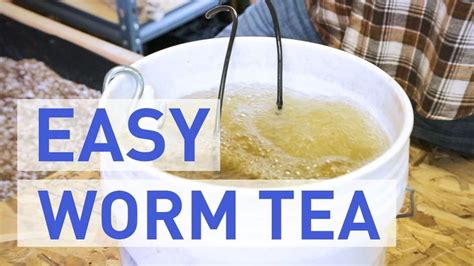 How To Make Worm Tea in 2020 | Compost tea, How to make compost, Worm ...