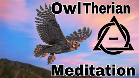 Owl Therian Meditation- Music with Owl sounds - YouTube