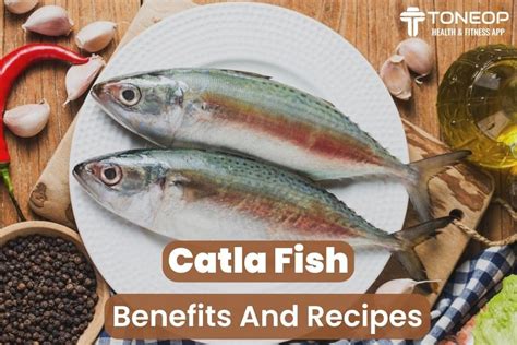 Catla Fish: Benefits And Recipes