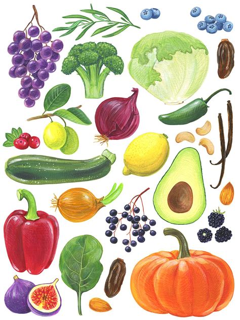 Inna Ruda | Vegetable drawing, Vegetable illustration, Fruit illustration