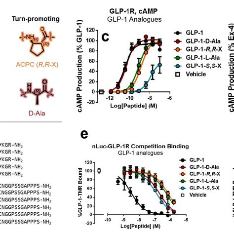 | Probing the N-terminal structure of GLP-1 and Exendin-4 with single ...