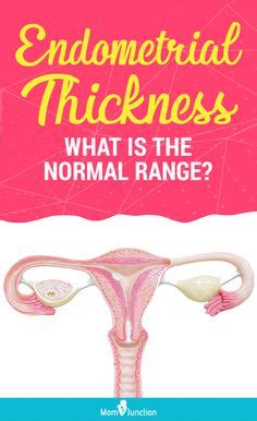 Normal Thickness Of Endometrium, Thickening Symptoms & Causes | Mom junction, Endometrial ...