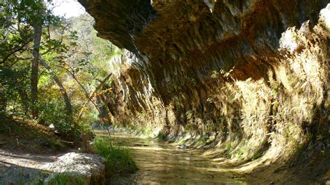 The Grotto at Lost Maples Natural Park, Fredericksburg, Grotto, Hill Country, Mom Shirts ...