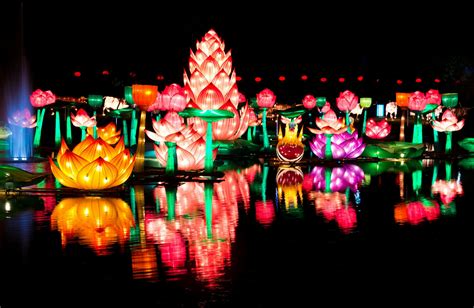 Chinese New Year 2024 Lantern Festival - Eryn Odilia