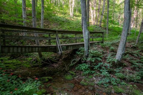 Hiking in Ole Bull State Park in Potter County, PA - Uncovering PA