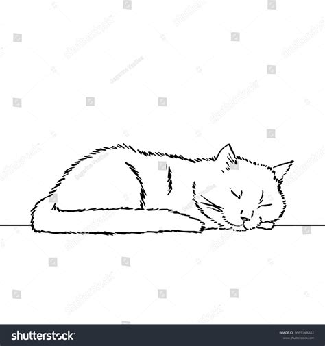 Sleeping Cat Line Drawing Images: Browse 4,611 Stock Photos & Vectors Free Download with Trial ...